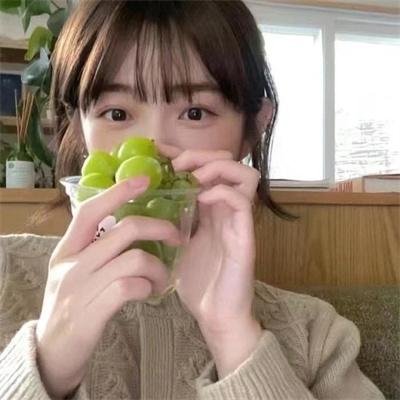 不死鸟之恋